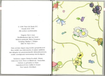 De Sneeuwkoningin  -  Rie Cramer - Afbeelding 6