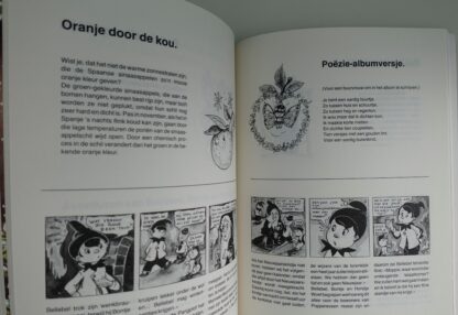 Het Grote Winterboek voor kinderen  -  Nellie Donker - Afbeelding 5