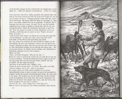Kapitein Spinrag en de Kwoks  -  Gordon Boshell - Afbeelding 3