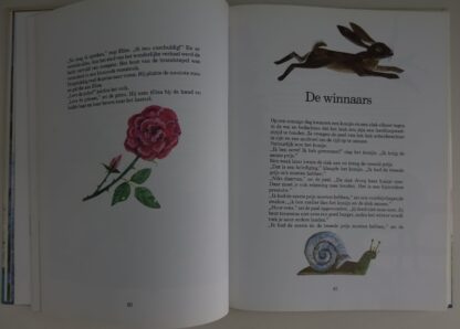 Tom Duim  -  Eric Carle - Afbeelding 6