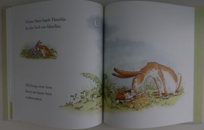 Raad eens hoeveel ik van je hou - Sam Mc.Bratney - Afbeelding 5