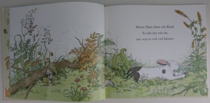 Knuddelhase  -  Anita Jeram - Afbeelding 3