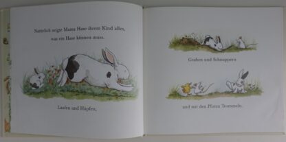 Knuddelhase  -  Anita Jeram - Afbeelding 5
