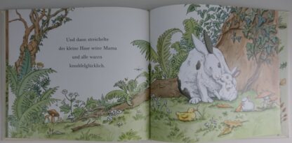 Knuddelhase  -  Anita Jeram - Afbeelding 7