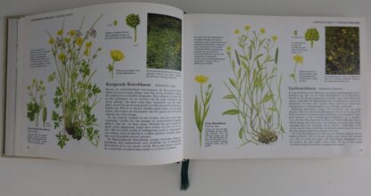 Wilde Planten van West-en Midden-Europa - Afbeelding 2
