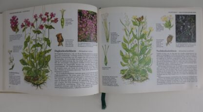 Wilde Planten van West-en Midden-Europa - Afbeelding 3