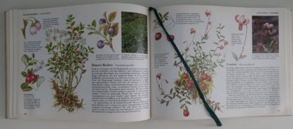 Wilde Planten van West-en Midden-Europa - Afbeelding 5