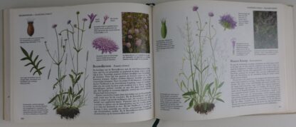 Wilde Planten van West-en Midden-Europa - Afbeelding 6
