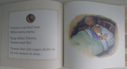 Een dag achterstevoren  -  Albert Lamb - Afbeelding 7