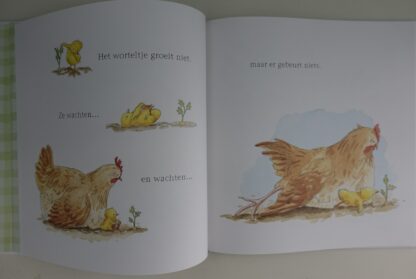 Kuikentje Kip  -  Amy Hest, Anita Jeram - Afbeelding 4