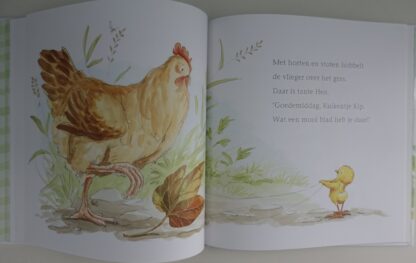 Kuikentje Kip  -  Amy Hest, Anita Jeram - Afbeelding 5
