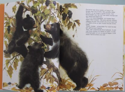 De ontdekkingsreis van Beertje Snuf  -  Takeo Ishida - Afbeelding 3