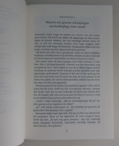 Het land achter de vele deuren  -  Marian van der Heiden - Afbeelding 2
