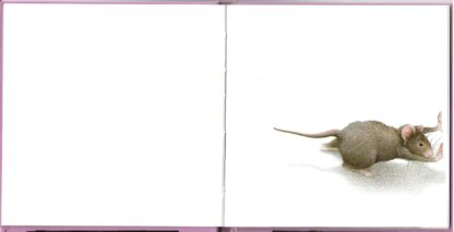 In dit boek zit een muisje verborgen - Monique Felix - Afbeelding 3