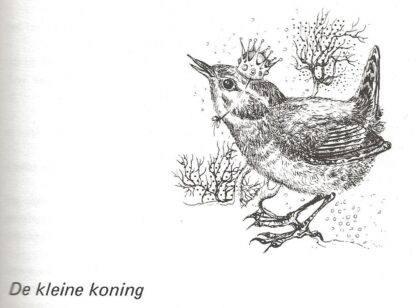 Dierenverhalen  van  Mies Bouhuys - Afbeelding 11