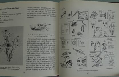 De natuur in met Beatrix Potter - Afbeelding 8