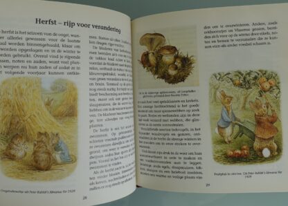 De natuur in met Beatrix Potter - Afbeelding 6