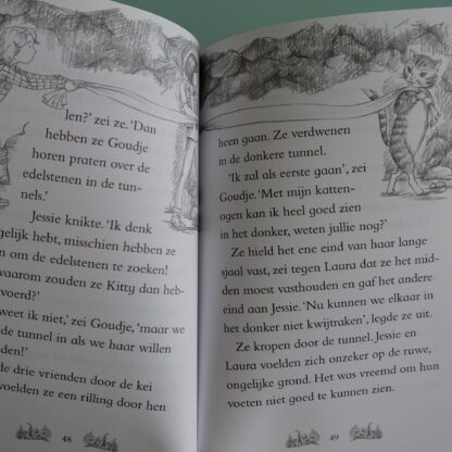 Kitty, het nieuwsgierige poesje  -  Daisy Meadows - Afbeelding 4