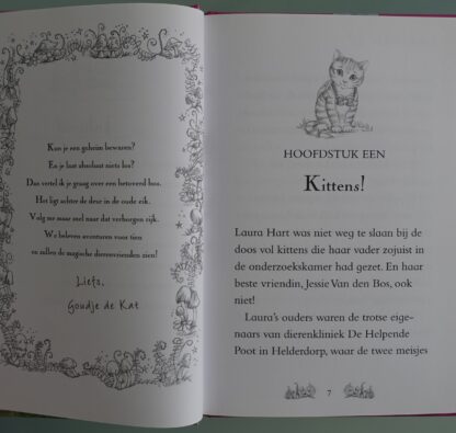 Poesje Kitty gaat logeren  -  Daisy Meadows - Afbeelding 3