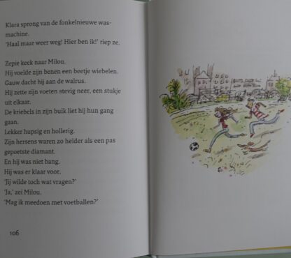 Zepie  -  Janneke Schotveld - Afbeelding 6