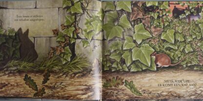 Muis, kijk uit  -  Judy Waite - Afbeelding 3