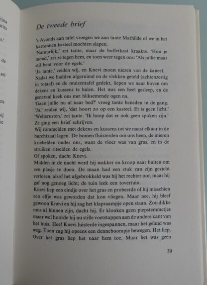 De brieven van de generaal  -  Paul Biegel - Afbeelding 5
