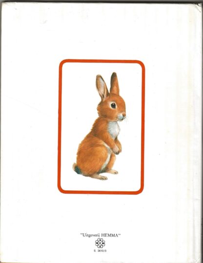 Knabbel, het konijntje - José Luis Macías S. - Afbeelding 7