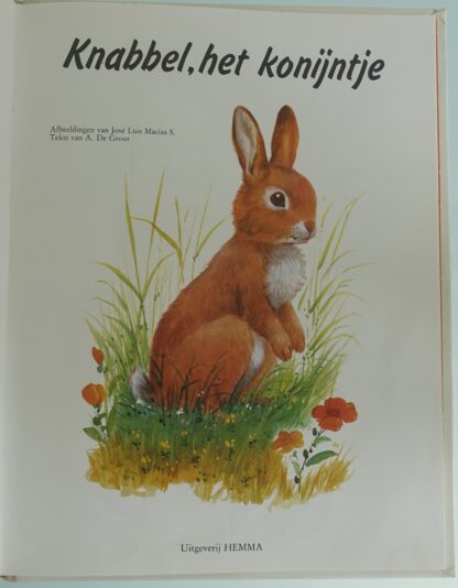 Knabbel, het konijntje - José Luis Macías S. - Afbeelding 2