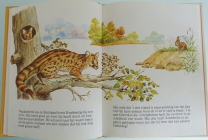 Knabbel, het konijntje - José Luis Macías S. - Afbeelding 4