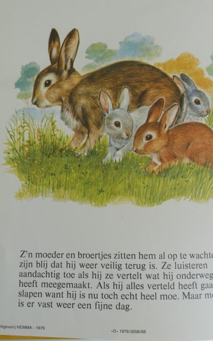 Knabbel, het konijntje - José Luis Macías S. - Afbeelding 5