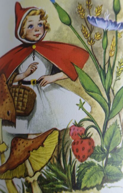 het reuze Spookjesboek - Afbeelding 13