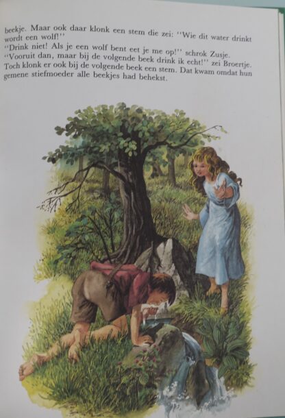 Het dappere kleermakertje/Broertje en zusje - Afbeelding 7