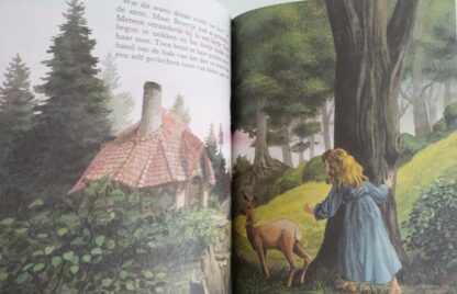 Het dappere kleermakertje/Broertje en zusje - Afbeelding 6