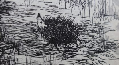 Wondersprookjes  -  Pieter Jacob van Beest - Afbeelding 10