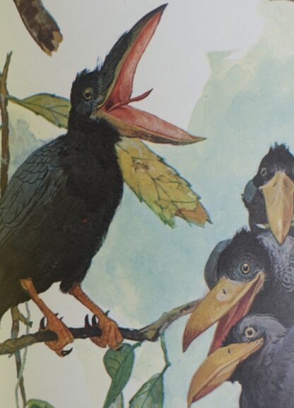 De Zeven Raven  -  Lekturama - Afbeelding 10