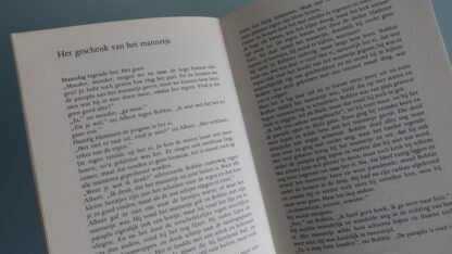 Het malle ding van bobbistiek  -  Leonie Kooiker - Afbeelding 5