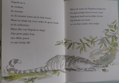 Napoleon de stoerste kater van de hele buurt  -  Jacques Vriens - Afbeelding 3