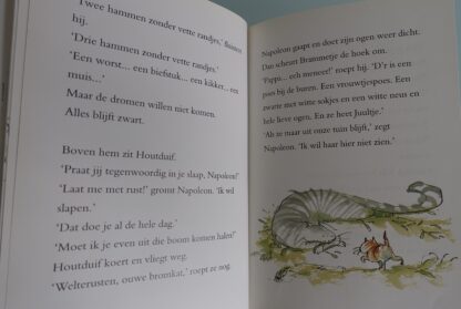 Napoleon de stoerste kater van de hele buurt  -  Jacques Vriens - Afbeelding 4