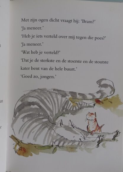 Napoleon de stoerste kater van de hele buurt  -  Jacques Vriens - Afbeelding 5