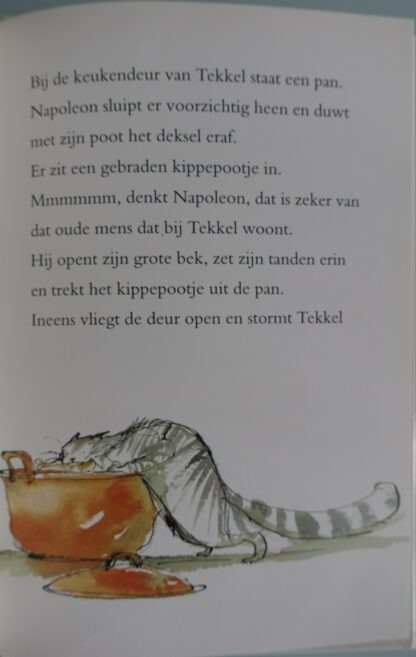 Napoleon de stoerste kater van de hele buurt  -  Jacques Vriens - Afbeelding 6