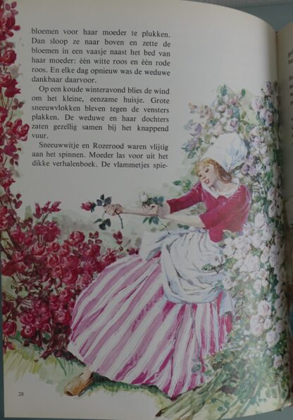 Rosalie en de Grijze Muis  -  Lekturama - Afbeelding 7