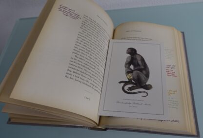 S. (Ship of Theseus) - J.J. Abrams en Doug Dorst - Afbeelding 5
