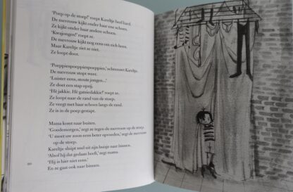 Tijgerverdwijnmedicijn  -  Pauline Michgelsen - Afbeelding 3