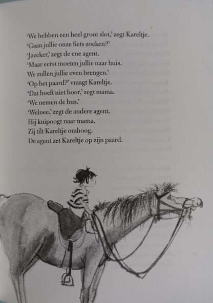 Tijgerverdwijnmedicijn  -  Pauline Michgelsen - Afbeelding 5