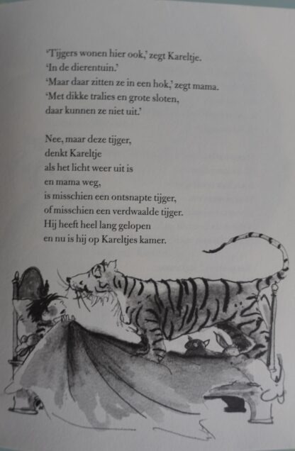 Tijgerverdwijnmedicijn  -  Pauline Michgelsen - Afbeelding 6