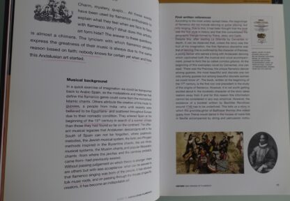 Guide to Andalusien flamenco - Afbeelding 4