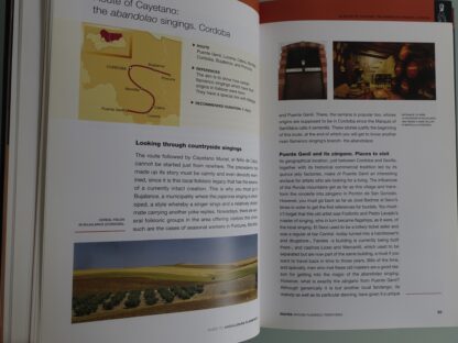 Guide to Andalusien flamenco - Afbeelding 8
