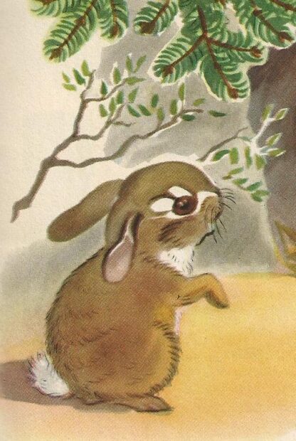 Peter Langohrs erster Frühling  -  Jean Fritz - Afbeelding 8