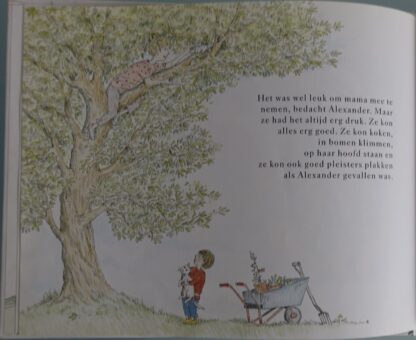 Alexander en de toverboot  -  Katharine Holabird - Afbeelding 3