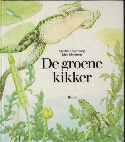 De groene kikker  -  Martin Hogeweg